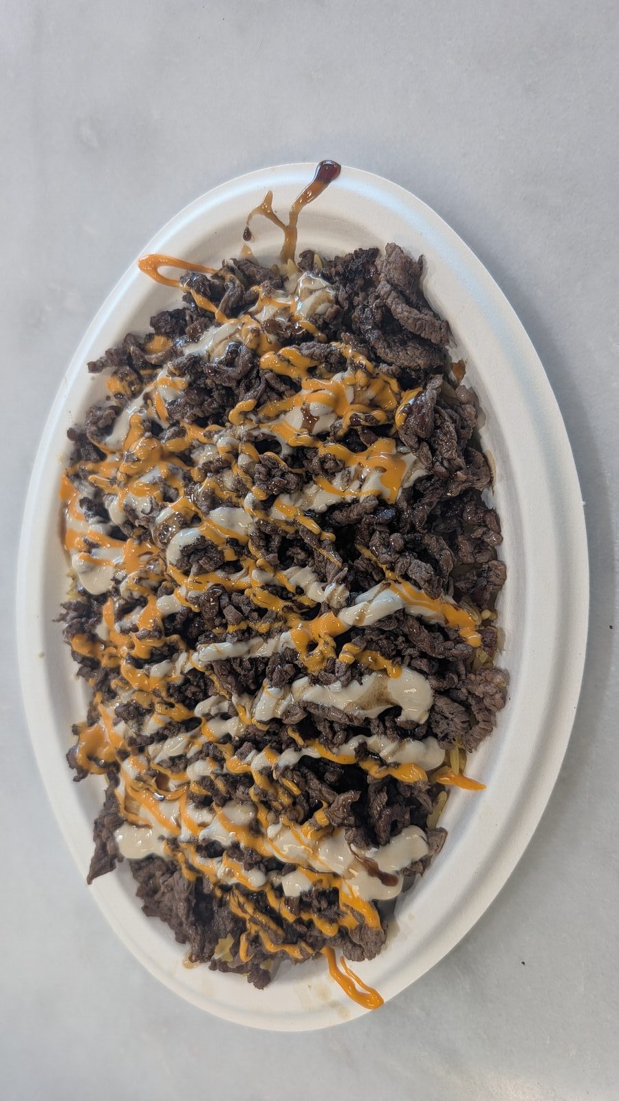 Shredded Steak plate